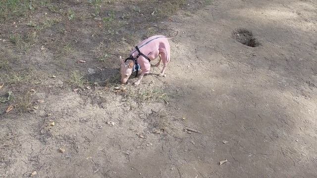1000015458.mp4