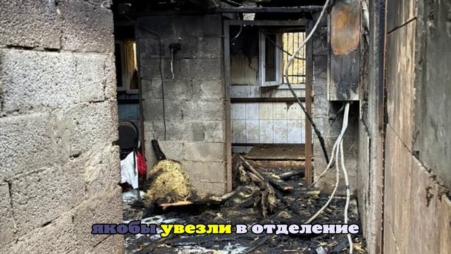 Shot: В момент пожара в приюте для собак в Москве находился охранник с друзьями