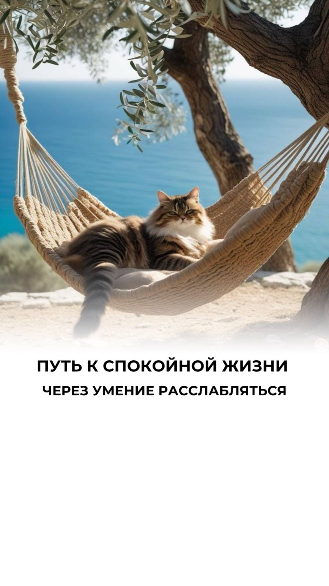 Живи легко