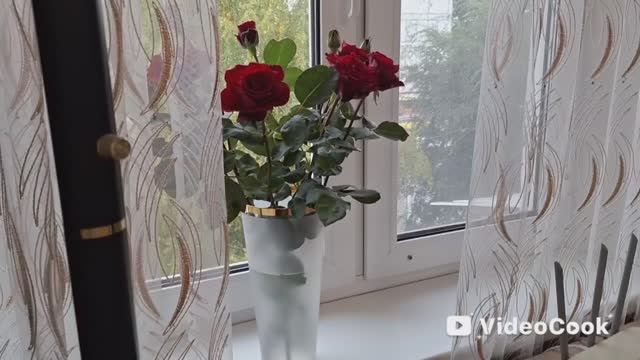 Vlog /125/ У Иваныча хандра, лечу, как могу..Мотивация на уборку...