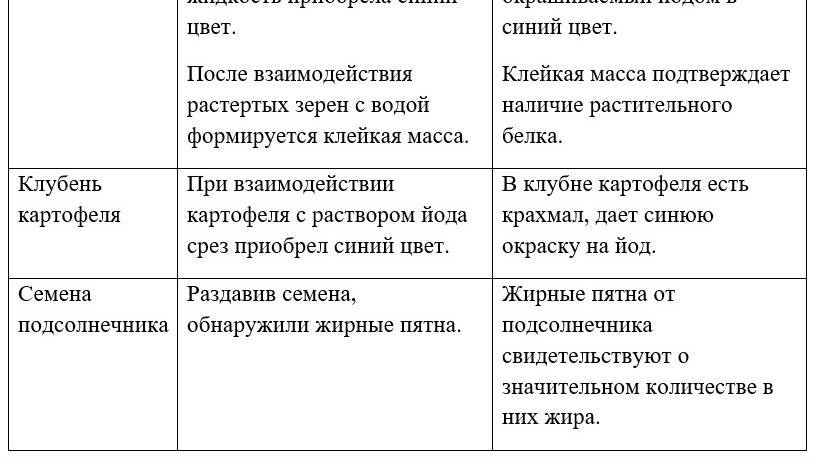 играю в пиксель мон
