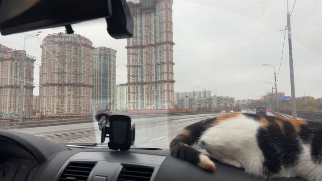 Переехали в Москву, часть 2