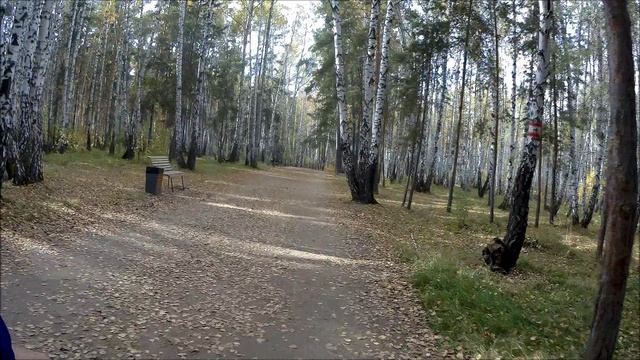 27 сентября, последний теплый день. Осень. желтые листья...