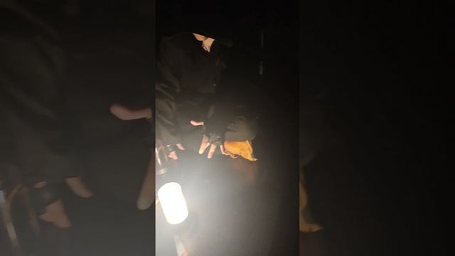 Волшебное приключение в Музее Магии! 🧙♀️