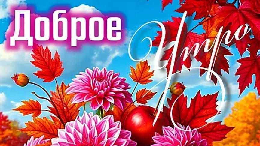 Доброе утро💖 Хорошего настроения🎀💖