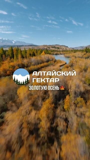 Алтай