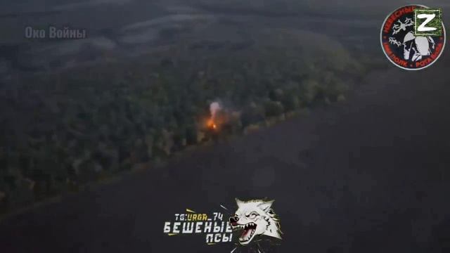 СВО