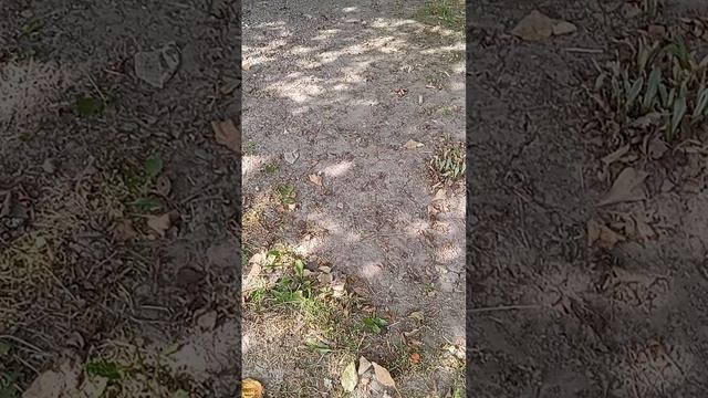 Первое видео моего братика