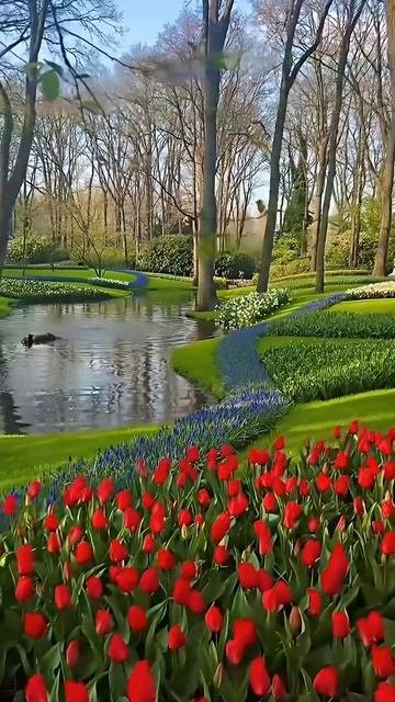 Красивые цветы 💐 ☀️ 🍃  Красивая природа