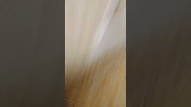 транса проста