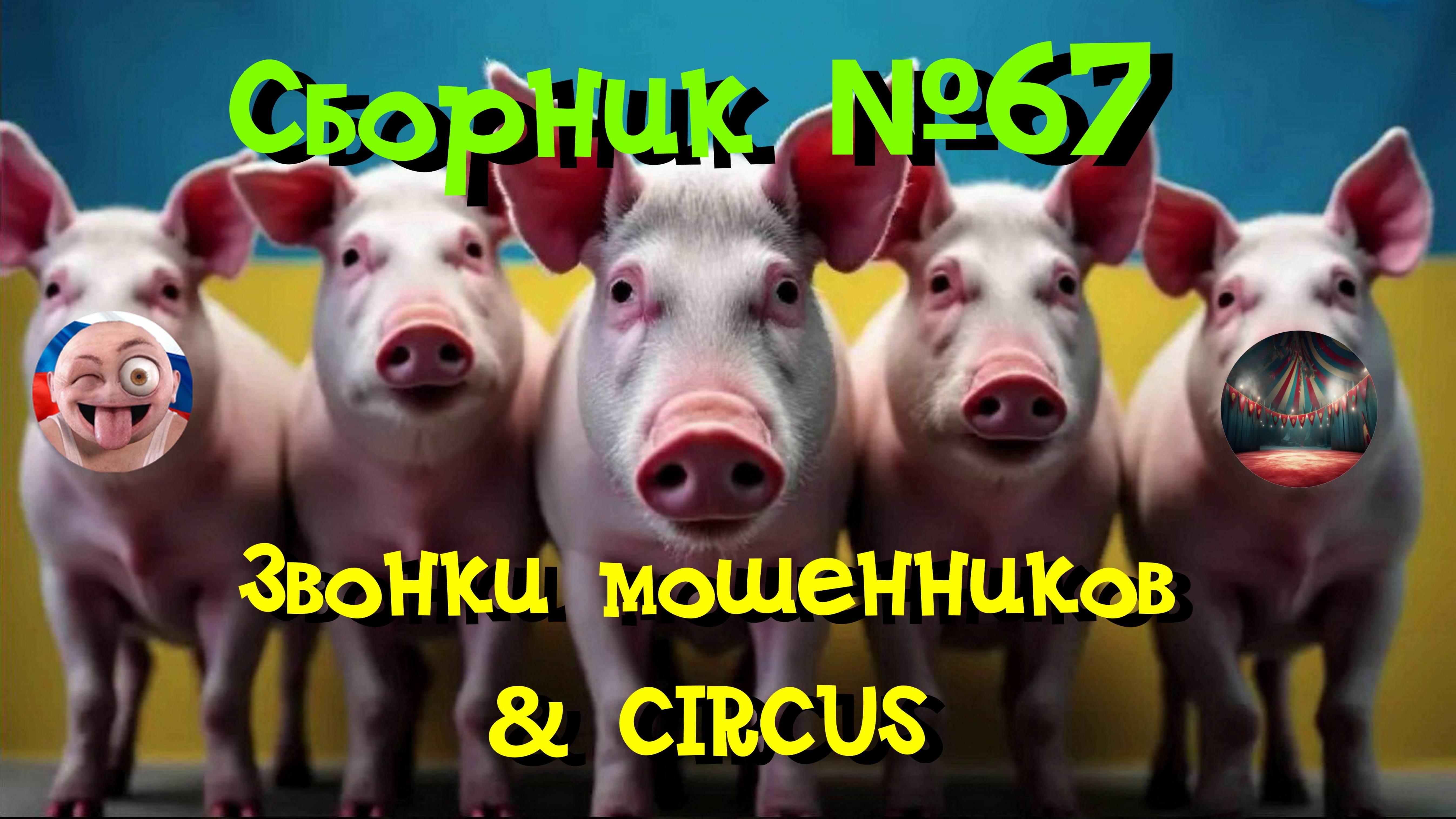 Сборник №67 & CIRCUS