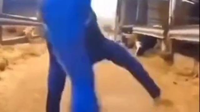 1000014843.mp4