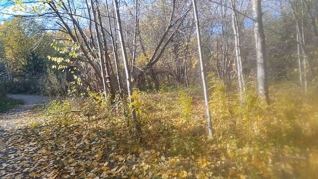 28-09-2025 Осенняя пора, очей очарованье