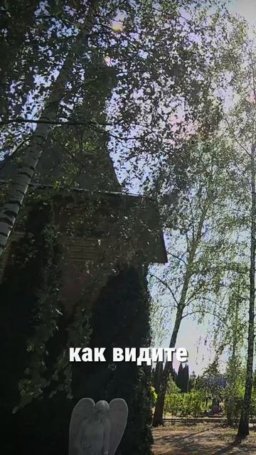 Белый Ангел3
