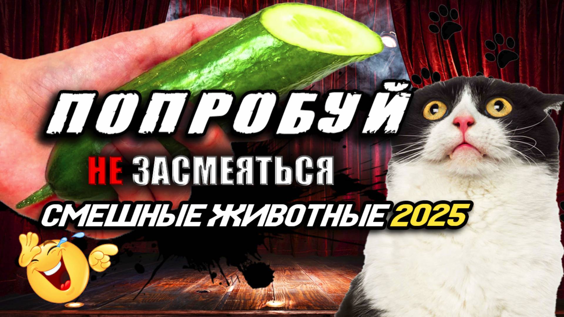 ПОПРОБУЙ НЕ ЗАСМЕЯТЬСЯ 😂 УГАРНЫЕ КОТЫ 2025 🐱 3 МИНУТЫ СМЕХА 😱 ЛУЧШИЕ ПРИКОЛЫ 2025 С ЖИВОТНЫМИ #8