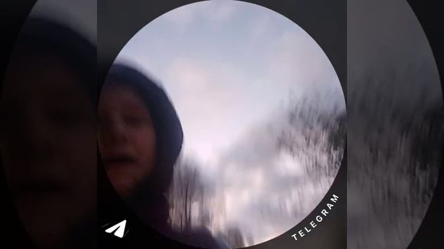 Без названия