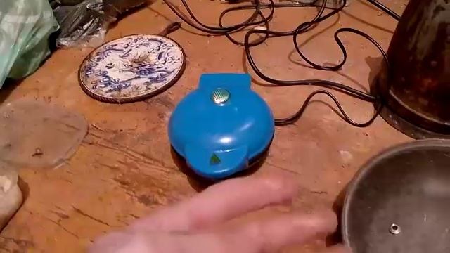 Красивые и умные коты и кошка!