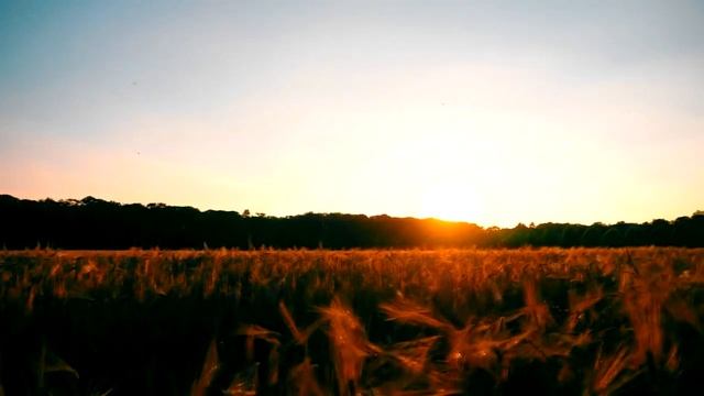 Ходит по полю девчонка - исп. Игорь Кравцов Братск _HD_60fps.mp4