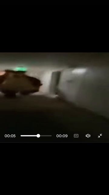 это кто ?!??!??
