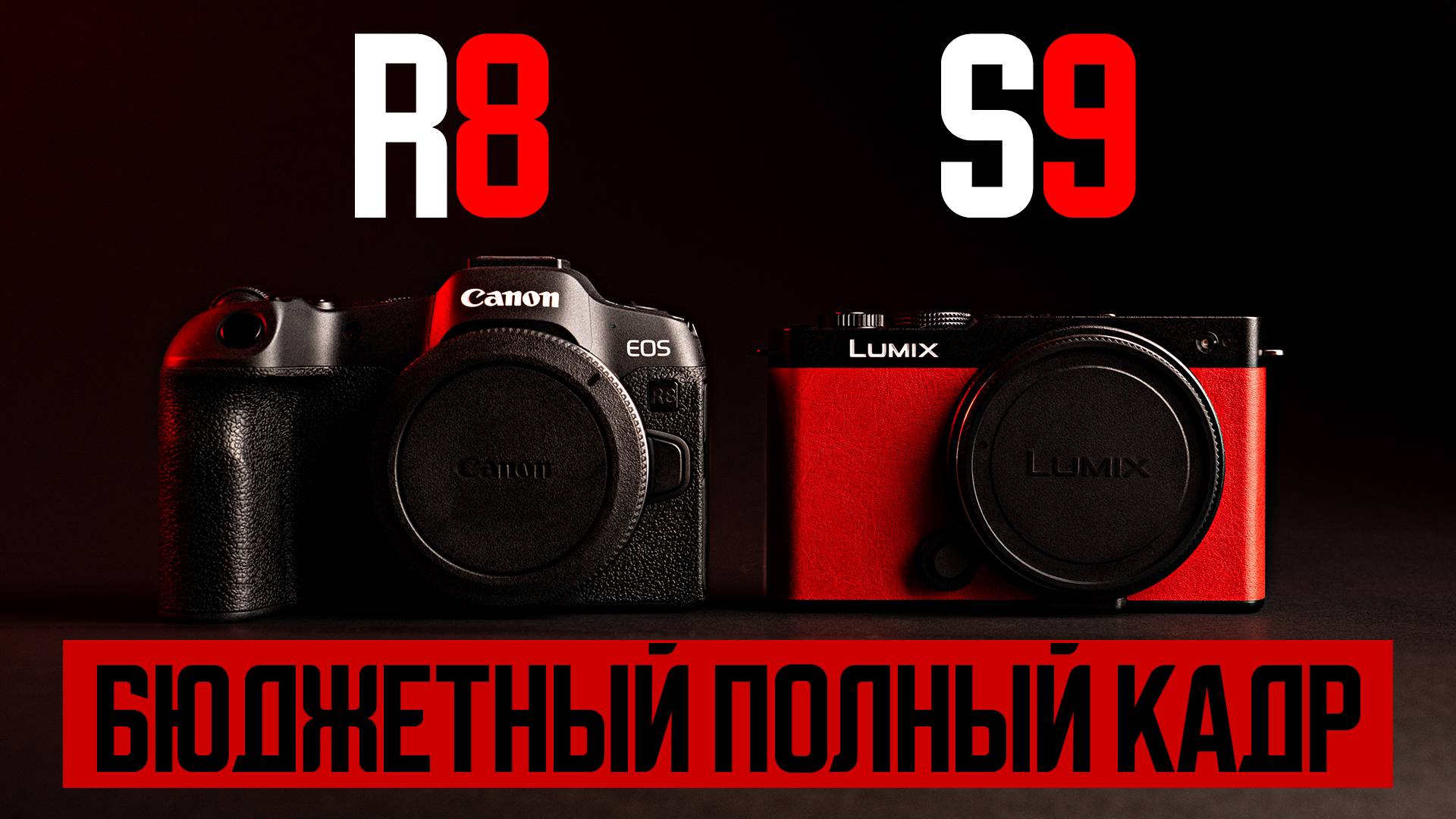CANON R8 ПРОТИВ LUMIX S9 | ГДЕ БОЛЬШЕ ПОДВОДНЫХ КАМНЕЙ? #canonr8 #panasonics9