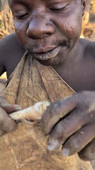 Шаба принёс с охоты косулю уже обжарил на костре и дегустирует