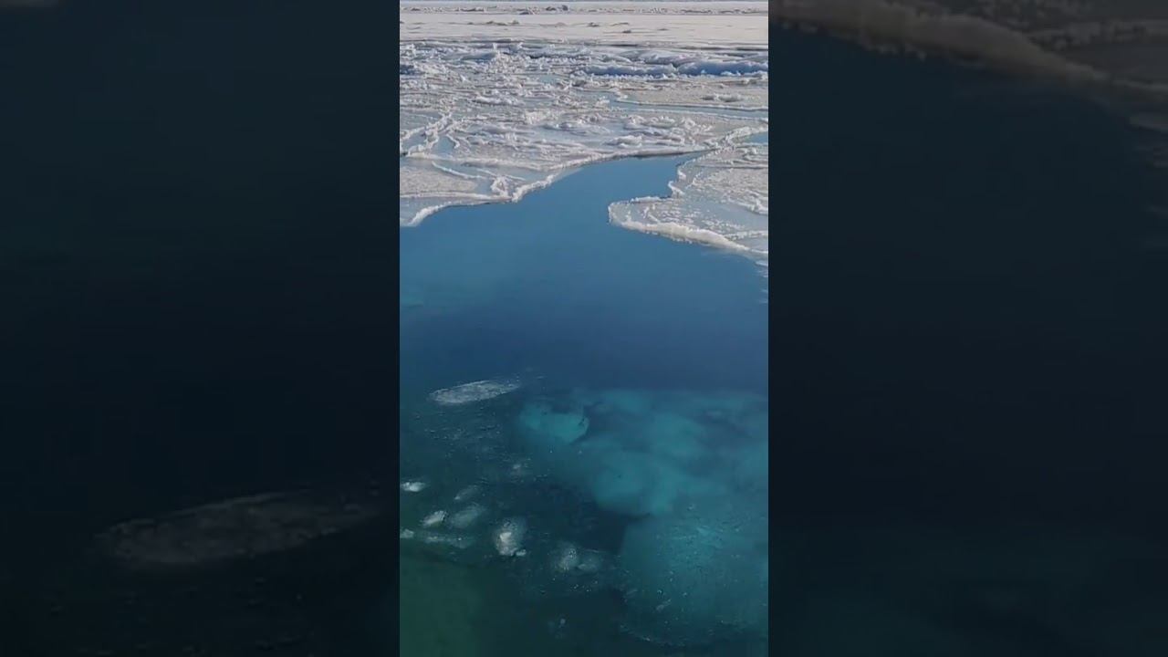 Ледяные краски моря