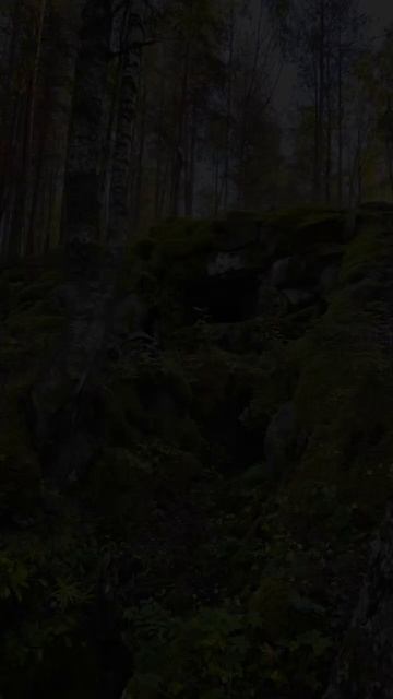Карелия. Медвежьегорск. Кархумяки. Karelia. Medvezhyegorsk. Karkhumyaki