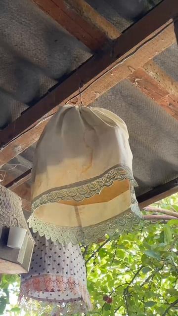 VID-20250929-WA0154