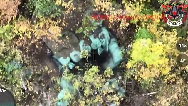 Наш спецназ взял штурмом опорник врага на Лиманском направлении - кадры атаки !!!