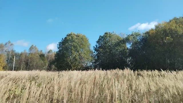 Торги на земельный участок с КН 50:04:0170207:2204
