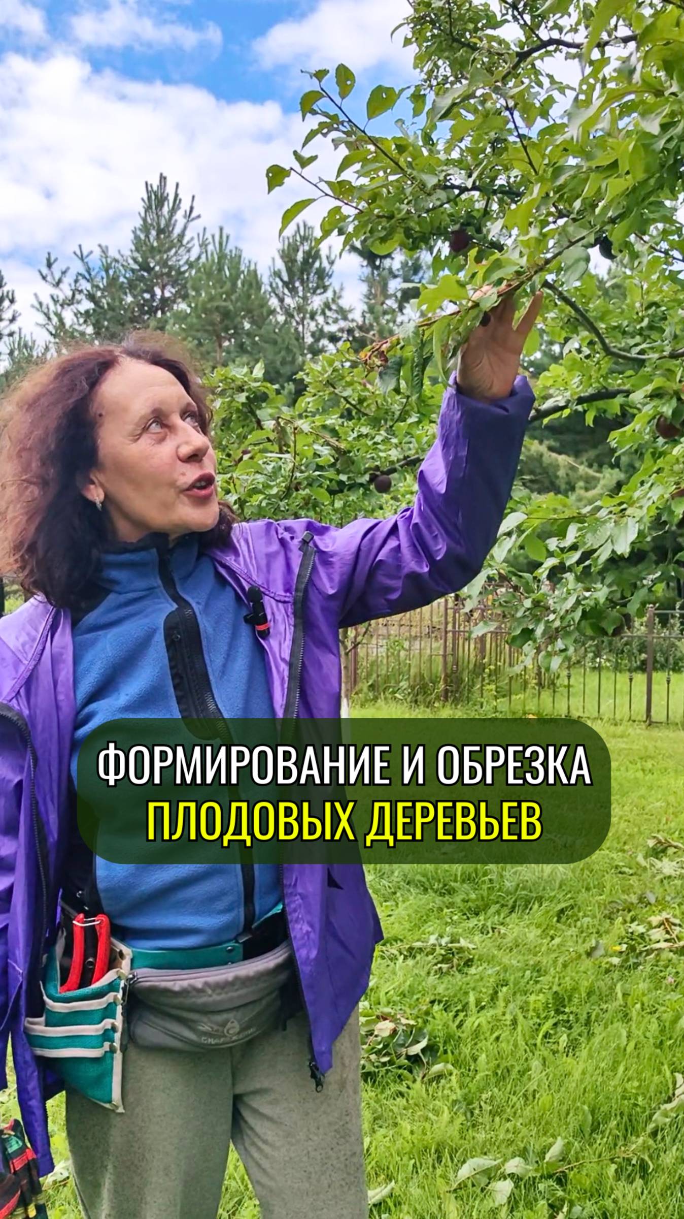 Формирование и обрезка плодовых деревьев Екатерина Батаногова, выпускница курса Архитектор Деревьев