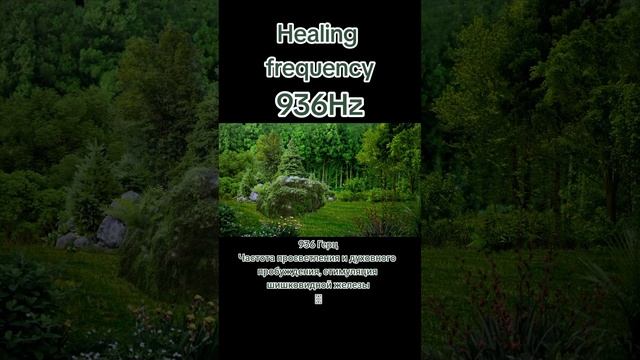 Handpan (Ханг) Частота 936Гц.  Записано в месте силы п.Возрождение (Геленджик)