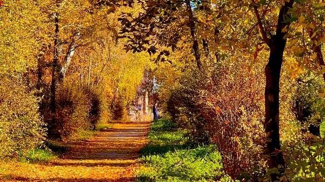 Осени напевы  Асбест Средний Урал