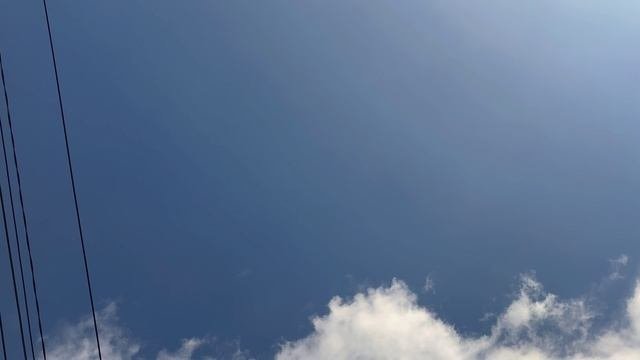 Практическая работа №1 