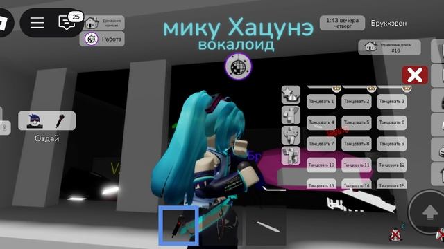 Мику в Брукхейвене