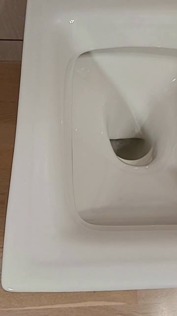 подвесной унитаз в классическом стиле KOHLER
