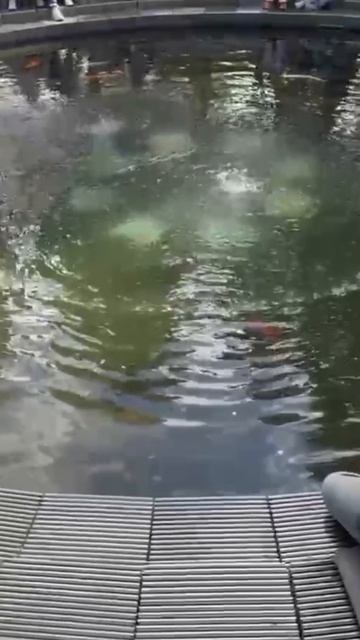 прогулки на природе