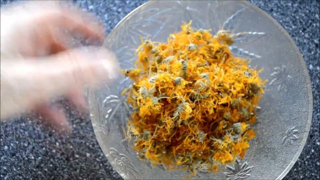 Заготавливаем травяной чай сами.