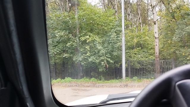 Философия за рулём. Философия Эпохи Возрождения. Деизм и пантеизм.