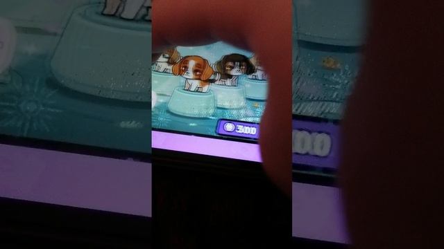 VID_20250929_150100.mp4