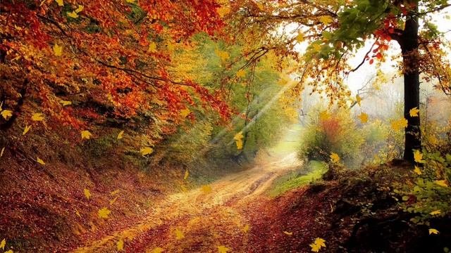 ФУТАЖ - ЗОЛОТАЯ  ОСЕНЬ