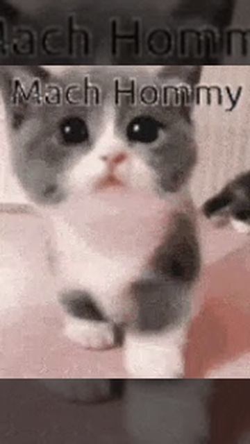 1000029698.mp4