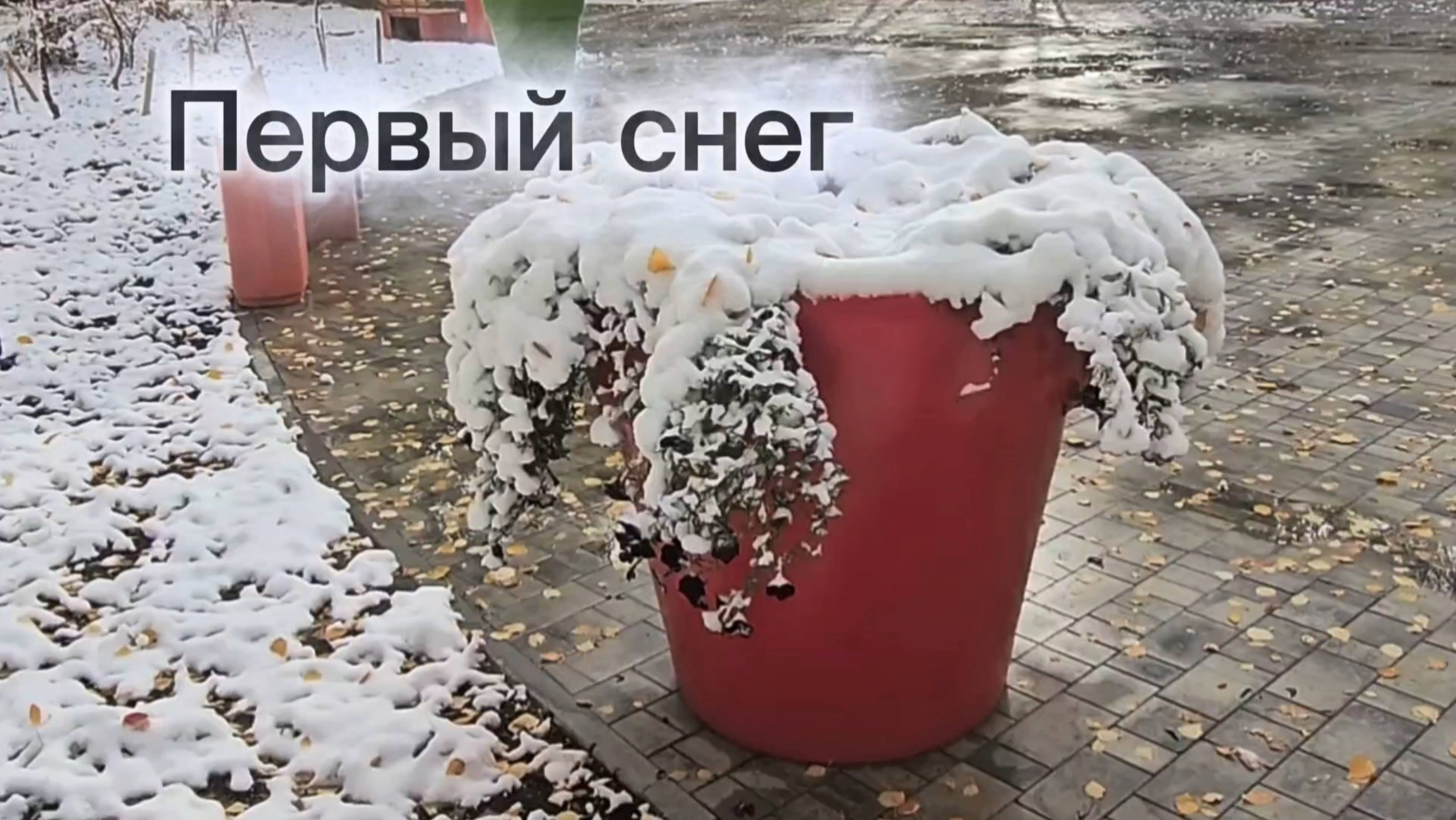 Первый снег. Нижневартовск. 27 сентября 2025
