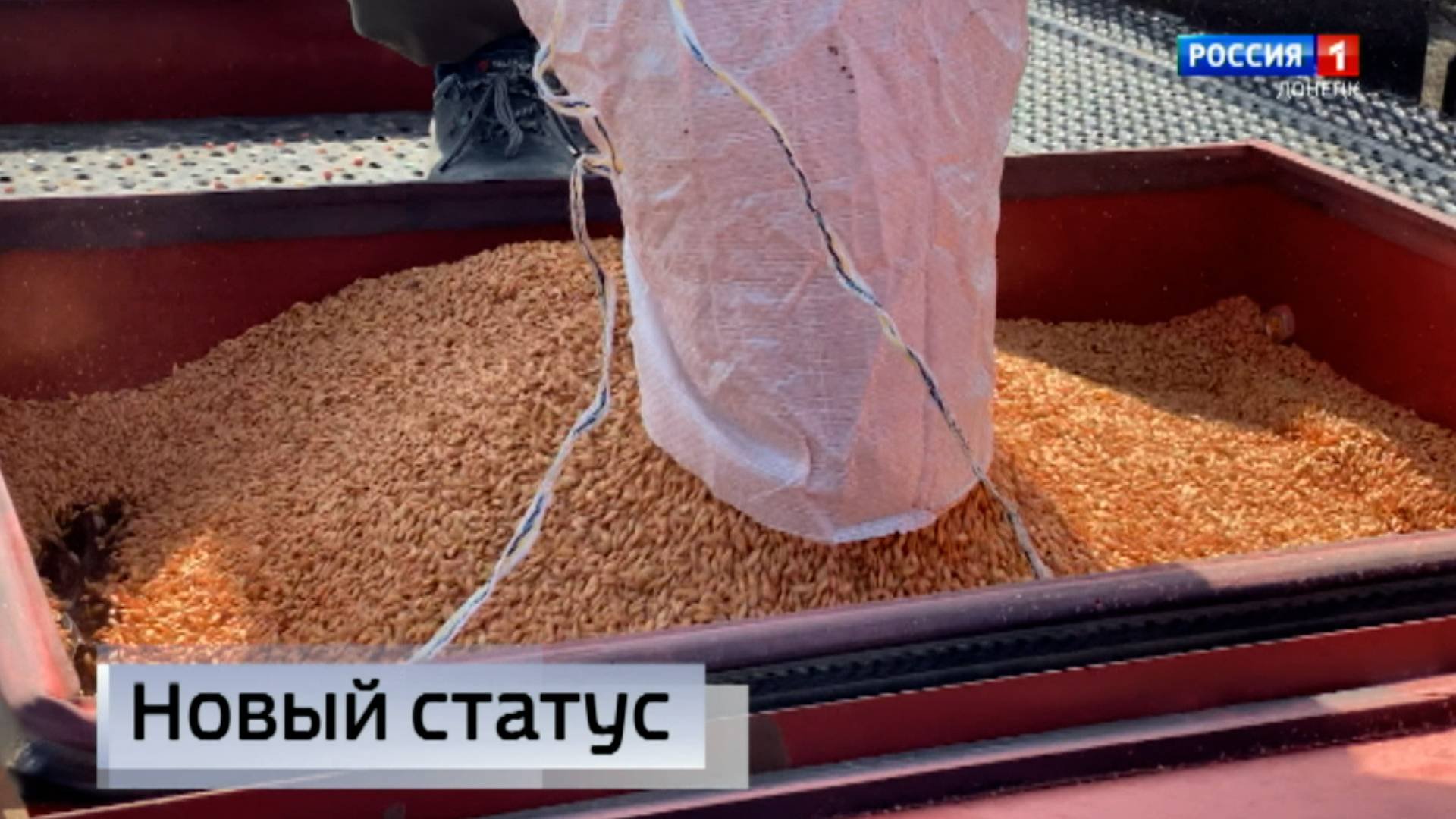В Республике уже второе предприятие по переработке зерна получило статус семеноводческого хозяйства