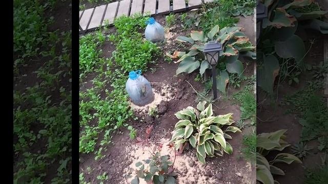 закончили сезон....