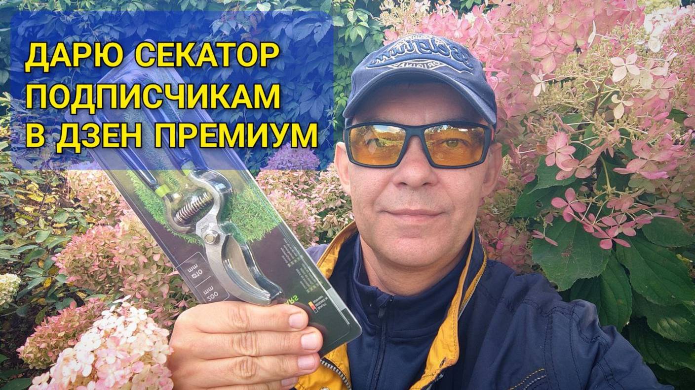 Дарю секатор подписчикам в Дзен Премиум, подробности в описании под роликом 👇👇👇