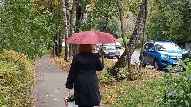 ЗОНТ
