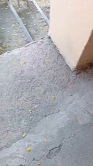 Пнула мышку, нападала на меня 😕