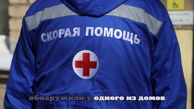 Житель Петербурга избил 76-летнюю пенсионерку на улице Здоровцева