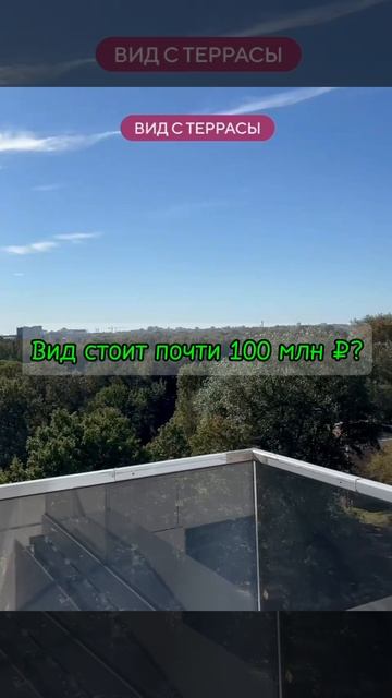 Вид с террасы ЖК Черная речка 41